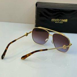 Picture of Roberto Cavalli Sunglasses _SKUfw55482494fw